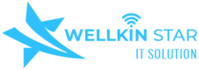 Wellkin Star IT Solution